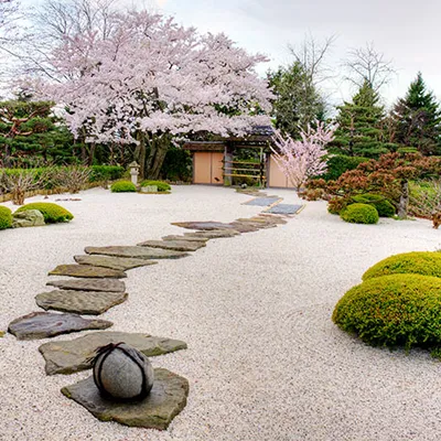 باغ ذن ژاپنی