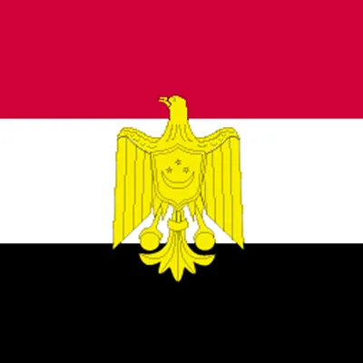 تور مصر