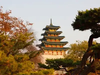 Japan-9-day-tour-Korea-June-1404