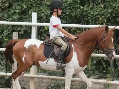 tour-horse-riding-1-day