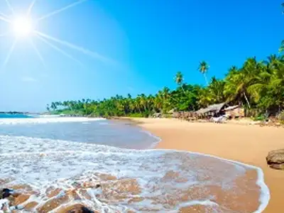 tour-sri-lanka-8-days-april