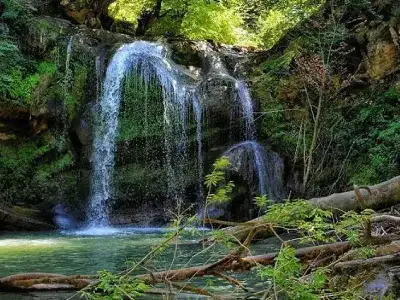Two-day-nature-tour-of-the-forest-and-Lavor-dam