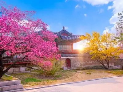 Japan-9-day-tour-Korea-July-1404