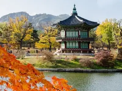 Japan-9-day-tour-Korea-September