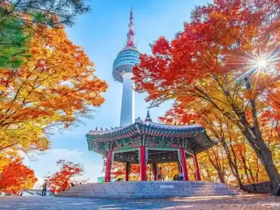 Ten-day-Korea-Japan-tour-September