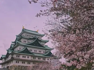 14-day-tour-to-Japan-Korea-September