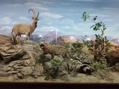 1-day-bilingual-tour-of-the-Haft-Chenar-Wildlife-Museum