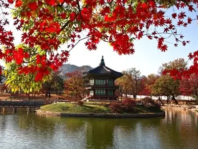 Japan-9-day-tour-Korea-August