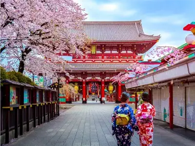 5-day-tour-in-May-Japan