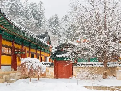 10-day-Korea-Japan-tour-in-February