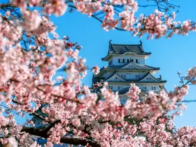 10-day-tour-of-Japan-in-May