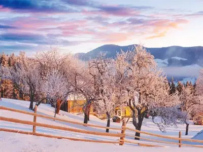 9-day-Japan-Korea-tour-in-February