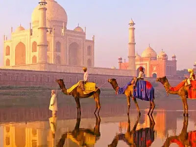 india-festival-tour-mar-2026