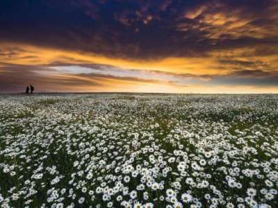 Three-day-Ardabil-tour