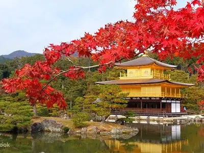 5-day-Japan-November-tour