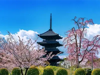 10-day-Korea-Japan-tour-in-May