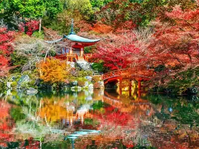 10-day-tour-of-Japan-November