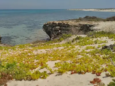 tour-hormozgan-parsian-marow-4-5-days-dey