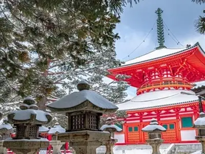 Japan-Korea-tour-in-January