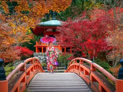 10-day-Japan-tour-in-December