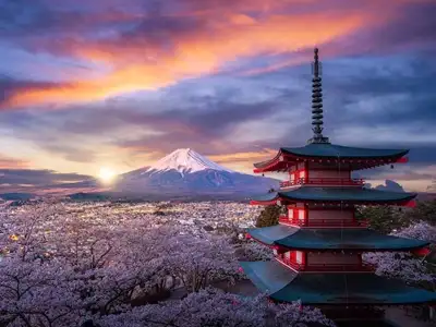 6-day-tour-to-Japan-July