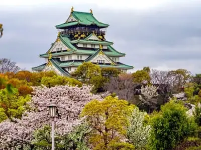 Japanese-10-day-tour-July 1404