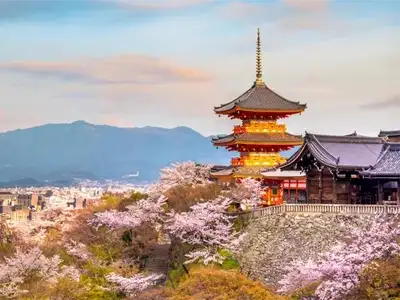 14-day-Japan-Korea-tour-December