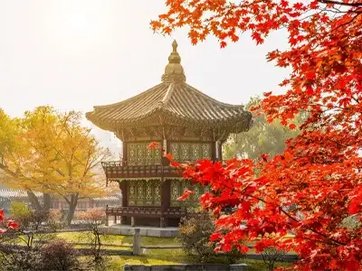 Travel-China-Korea-Japan-November