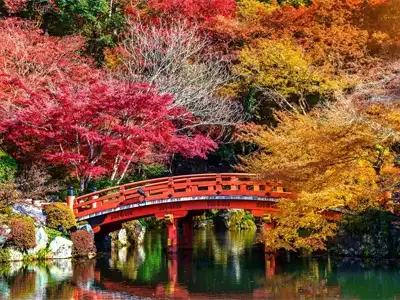 10-day-Japan-tour-October