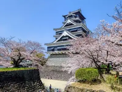 14-day-tour-to-Japan-Korea-August