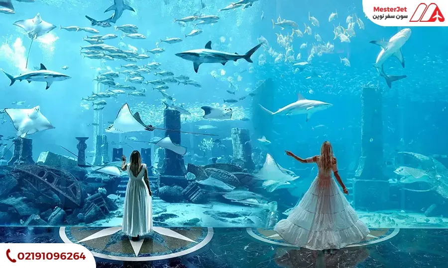 آکواریوم دبی