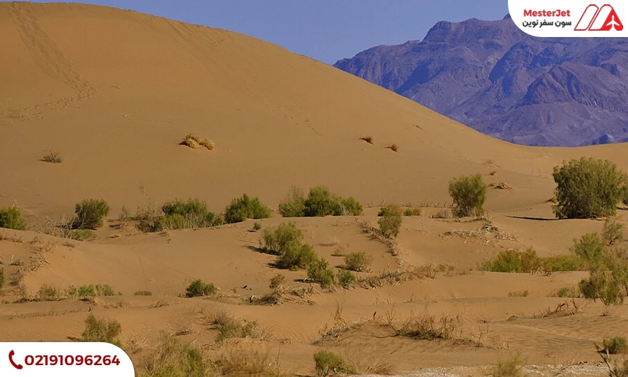 کویر مصر