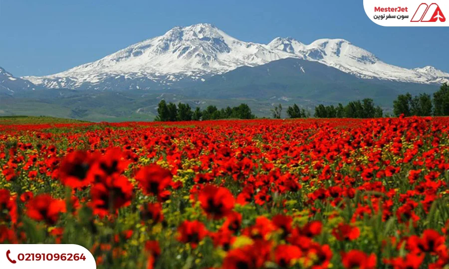 سبلان